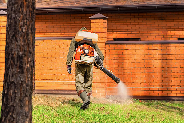Trusted Cockroach Control service in Lemont, PA - Nex Pest Control